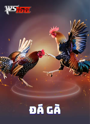 Sông Hồng